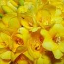 해천농장 이미지