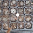 귀동농장 이미지