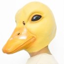 오리파티 이미지