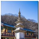 상주 남장사 감로왕도 이미지