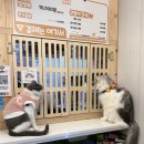 집사의하루 혜화점 이미지