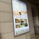 하이스파 | 서울커플마사지 가성비 실내데이트 종로하이스파