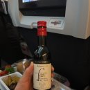 7482 | 에어캐나다 AC062 , AC7482 타고 인천->토론토 / 토론토->뉴욕 후기 / 경유해서 인천->뉴욕