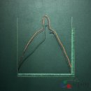 갤러리몸 연말기획전...&#34;Winter tales : From Trees to Doodles&#34; 이미지