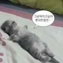 30초커피 안성점 | 7월-2