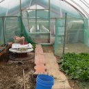 늘푸른농장 이미지