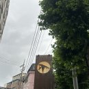 [상수 술집] 홍대 제비다방 무료 라이브 공연 후기ㅣ명당 자리, 대표메뉴 (feat. 채무자들)