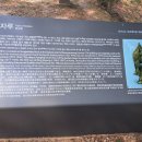 고란사 - 1398 | 고란사