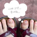 윤세네일