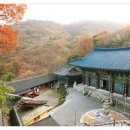 연제구-164 이미지