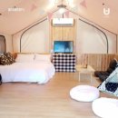 Dog 앤 Story 이미지