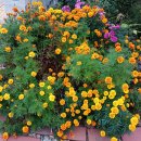 문중마을회관 이미지