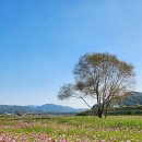 숲뜰근린공원 이미지