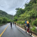 청옥산 / 육백마지기Riding 이미지