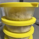 감성밥 | 햇반유리용기 감성리빙 촉촉한 햇밥용기 후기 냉동밥 식감 살리는 비법