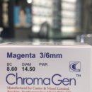 동글라스 이미지