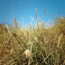 정다운마을 이미지