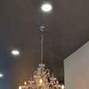 메타세쿼이아랜드 이미지