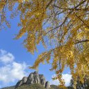 (주)대전사 이미지