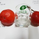 대송초등학교 이미지