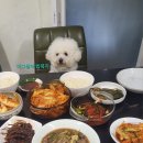 아그덜아 밥묵고놀자 이미지