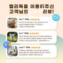 켈리 독, 강남 애견호텔 애견유치원 이미지