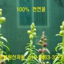 우암농장 이미지