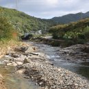 사나래카라반 이미지