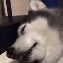 허숙희네 이미지