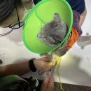 연이 메디칼 이미지