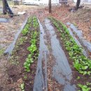 솔바람농장 이미지