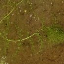 한석농장 이미지