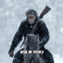 쫑의전쟁 이미지