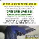리&홍위즈의원 네이버블로그