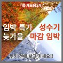 「특가모음24」 블랙프라이데이 특가 7박9일 49.9만___늦가을 임박 특가 ___ 성수기 마감 임박 이미지