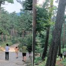 광천교 - 좌 이미지