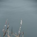 버들목장 이미지