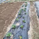 성보농장 이미지