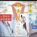 35기 카톡회원 건강정보및 일반사항 등 이미지