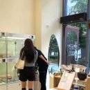 키튼히얼 고양이분양 김포본점 이미지