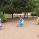 팽성레포츠공원 이미지