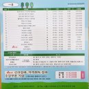 일상 속 생활 꽃꽂이 이미지