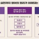 기초영어 이미지