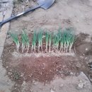 메종펜션 이미지