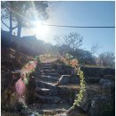 팔봉수피아 | 홍천 감성 펜션 추천, 자연 속에서 반려견과 함께 힐링한 팔봉수피아 숙박 후기!