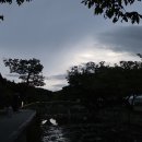 한가로운 마음(心自閒) 이미지