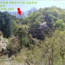 성산면-1 이미지