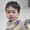 준 라이브 펜션 | 2024 상반기 일상 포토덤프