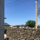 플로어가든02 | 제주 서쪽 독채 풀빌라 플로어가든 금능해수욕장 감성 숙소