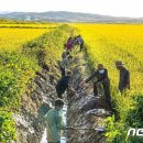 재령농장 이미지